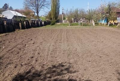 Teren de 700 mp, în Băcălești - 3