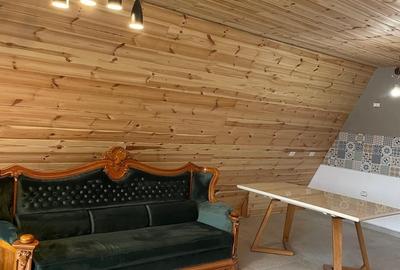 Izvoarele, Valeni de Munte, Prahova - 12