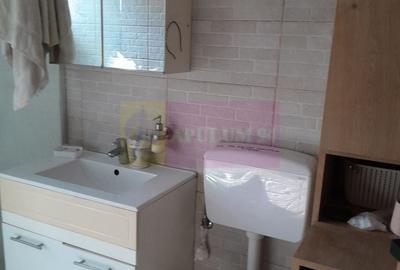 Casă individuală cu 5 camere cu Canalizare în Tineretului - 8