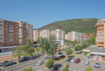 De vanzare 4 camere Racadau-zona Parcul Trandafirilor - 11