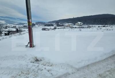 Teren de 990 mp, în Jelna - 3