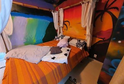 Inchiriere apartament cu 2 camere Dristor - 5
