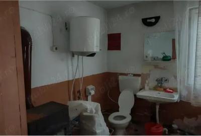 Casă cu 5 camere cu Teren 120 Mp în Teiu - 8