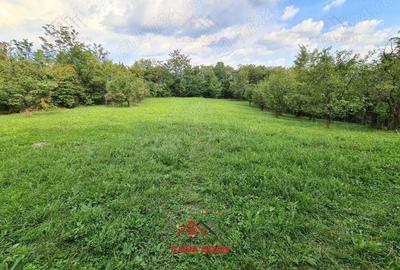 Teren intravilan in Poiana Campina--3287mp--10e - 4