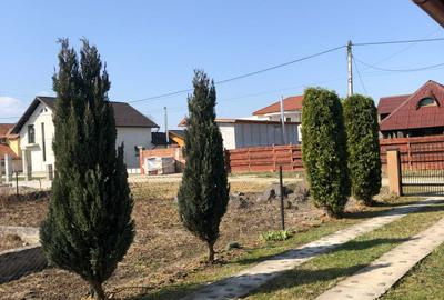 Casă cu 4 camere cu Teren 800 Mp în Ocna Șugatag - 3