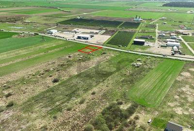 RECO , teren intravilan in Osorhei - 3