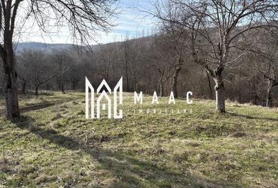 Teren  extravilan I 5300 mpI  Salatrucel -Calimanesti - 6