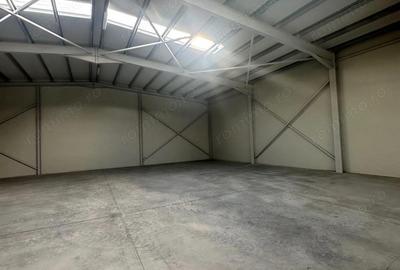Hala productie sau depozit / Production hall or warehouse - 6
