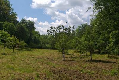 Teren de 2800 mp, în Micești - 6