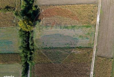 Spațiu comercial, în Bartolomeu