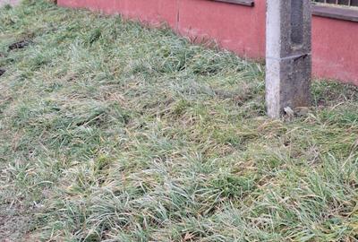 Spațiu comercial, în Stăuceni - 2