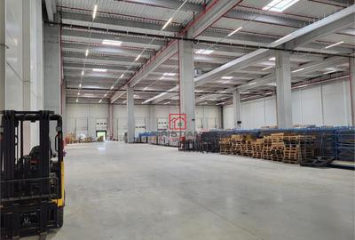 Depozit/hala/spatiu industrial Mogosoaia - Centura, Ilfov - 19