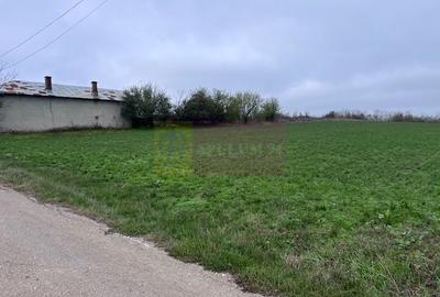 Teren agricol intravilan de 5000 mp, în Comana - 4