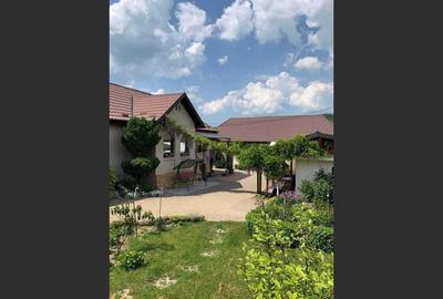 House in Brebi, Sălaj - 5