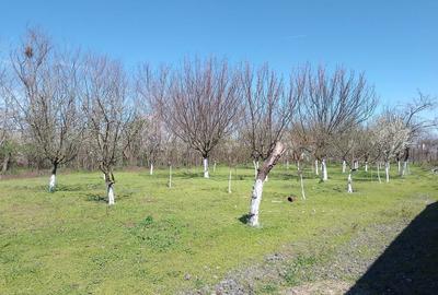 Casă cu 4 camere în Valea Stânii - 4