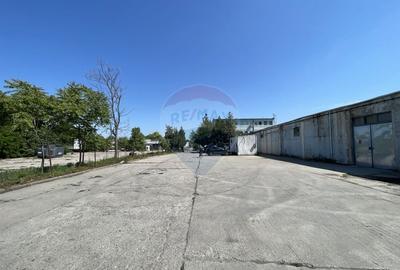 Platforma industriala - 35.000 mp - Chiajna, Centura Ilfov