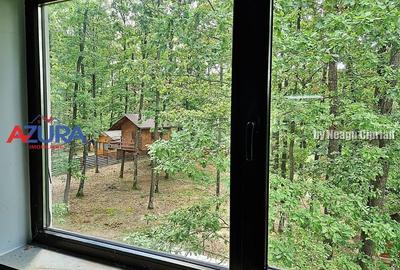 Casă de vacanță în pădure, 10 km de Pitești - Babana - 10