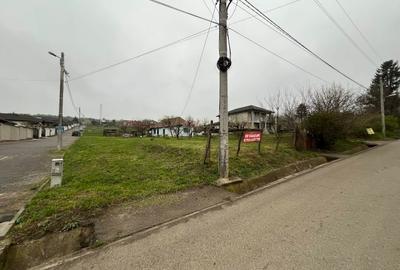 Teren Construcții intravilan de 3996 mp, în Dealuri Oradea - 2