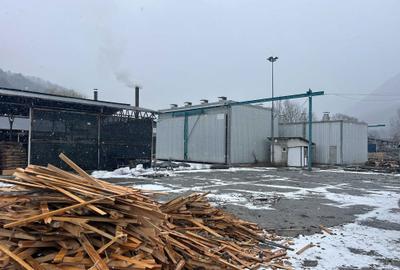 Teren de 26000 mp, în Proieni - 5