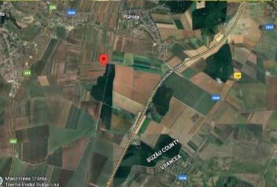 Teren de 6558 mp, în Obrejița