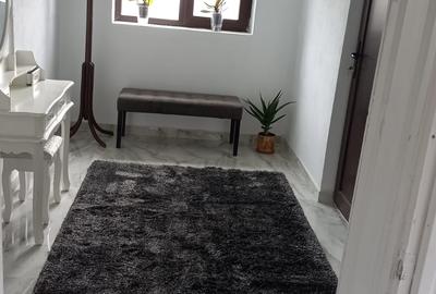 Vanzare proprietate- casa si teren Gheboieni Dambovita - 12