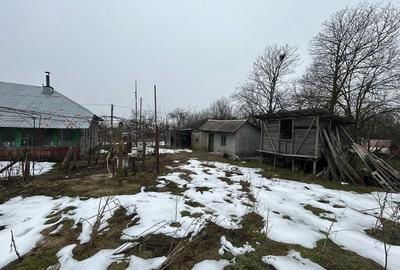 Casă cu Teren 2400 Mp în Toporu - 4