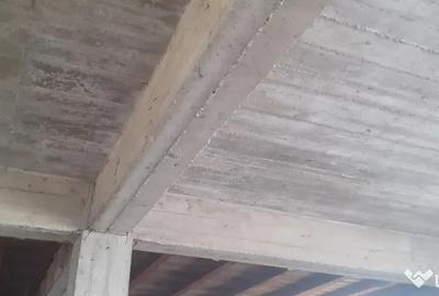 Casă cu 7 camere în Lisaura - 10