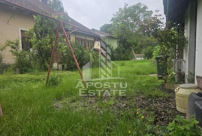 Proprietate cu potential turistic in Gurahont Proprietate cu potential turistic in Gurahont - 24