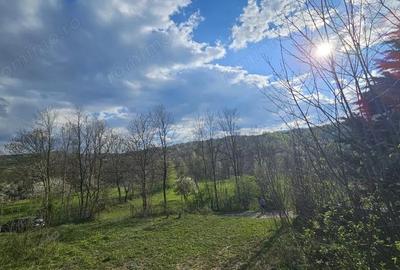 Teren în Brebu - 4