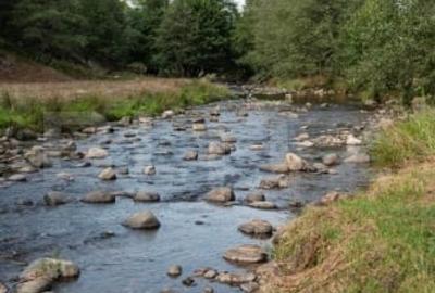 Cabana Valea Draganului - 70 km de Cluj, 5 dormitoare, izvor in curte - 2