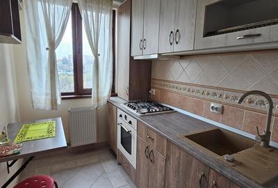 Apartament cu 2 camere decomandat, mobilat în Tătărași - 7