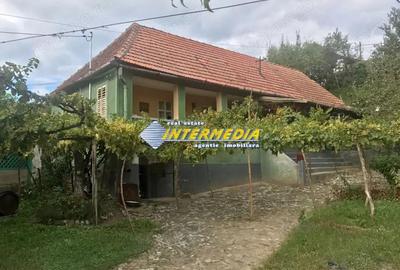 Casa in Cricau cu 3 camere de vanzare teren de 1300 mp - 16