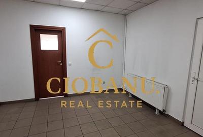 Spațiu comercial, de 1,030 mp, în Ișalnița - 14