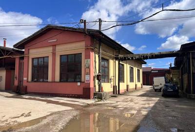 Inchiriez hale productie si birouri in Baia Mare Sud - 1