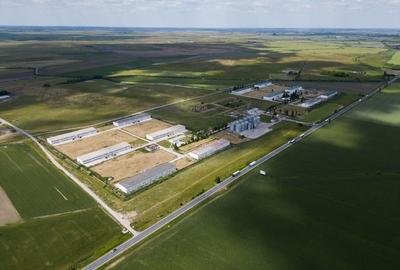 Teren Intravilan Investiții 11.600 mp Salonta - 6