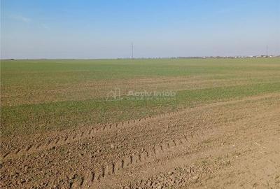 Teren 30250 mp - ideal investitie - - 1