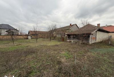 Casă cu 5 camere cu Teren 4319 Mp în Central - 10