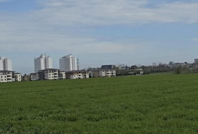 Teren de 100000 mp, în Eforie - 18