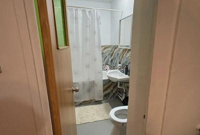 Inchiriez Apartament 2 camere Baneasa - 2