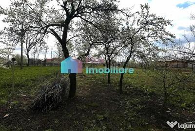 Casă cu 3 camere cu Teren 1410 Mp în Dumbrăveni - 6