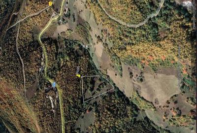Teren de 15000 mp, în Plopi - 2