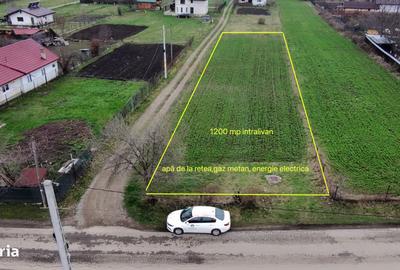 Teren de 1200 mp, în Alexandru cel Bun - 3