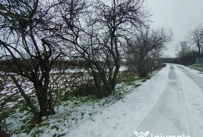 Teren de 640 mp, în Mischii - 4