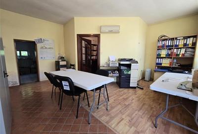 Spatiu comercial Garoafa | Deschidere E85 - 5