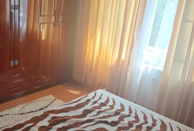 Apartament 2 Camere - Decomandat - Etaj 4/8 - Parc Sebastian - Bucuresti - 18