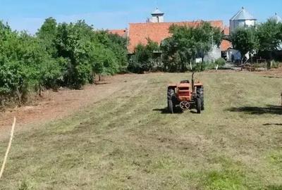 Teren de 1720 mp, în Coșteiu - 1