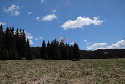 Terenuri speciale Padina Busteni, sunt dispuse ca o veritabila coroana in jurul - 7