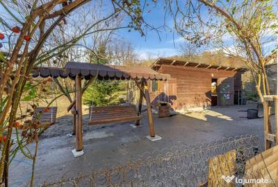 Casă cu 5 camere cu Teren 1620 Mp în Bârzava - 14