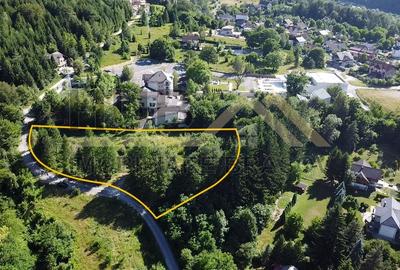 Oportunitate Investitie Teren Dambu Morii | Necesar PUD | Utilitati | 4.800mp - 2