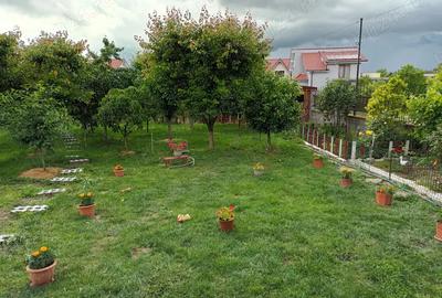 Casa cu etaj (P+1) gradina 736mp - 3